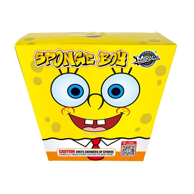 Sponge Boy