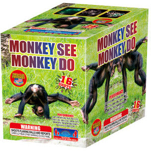 Monkey See Monkey Do