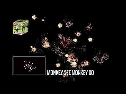 Monkey See Monkey Do